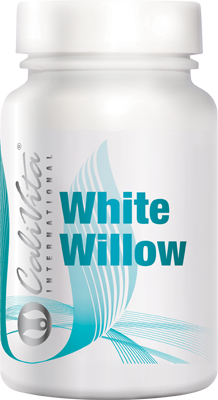 White Willow (100 kaps)