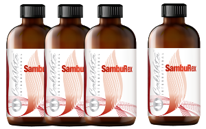 SambuRex 3+1 gratis