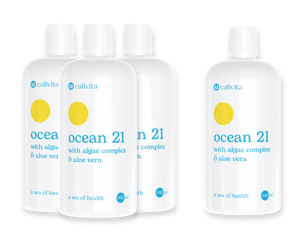 Ocean 21 pack